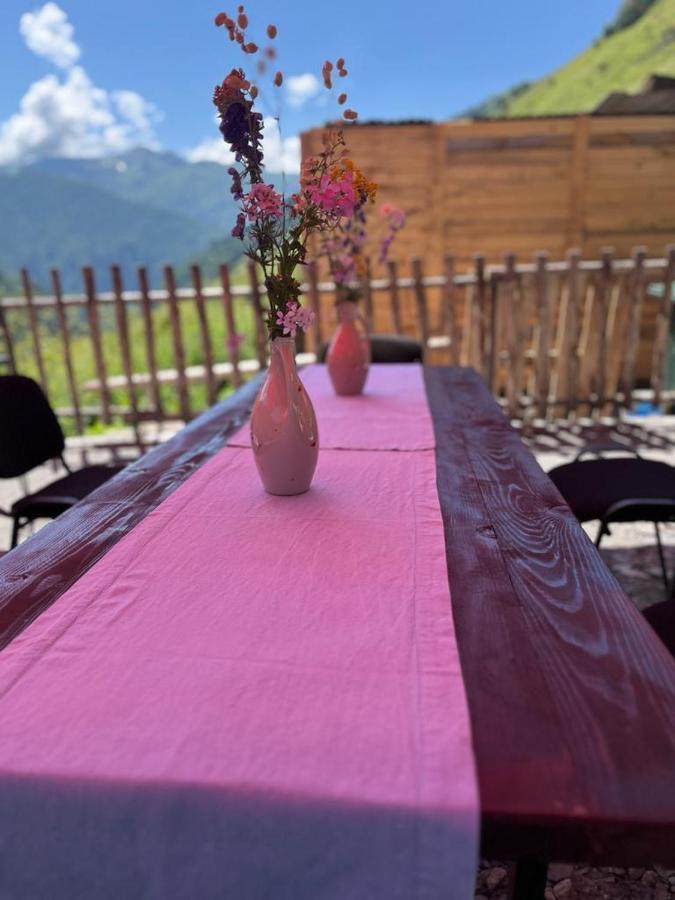 Gaul Gavkhe Hotel Ushguli Extérieur photo