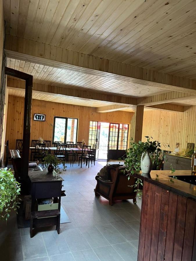 Gaul Gavkhe Hotel Ushguli Extérieur photo